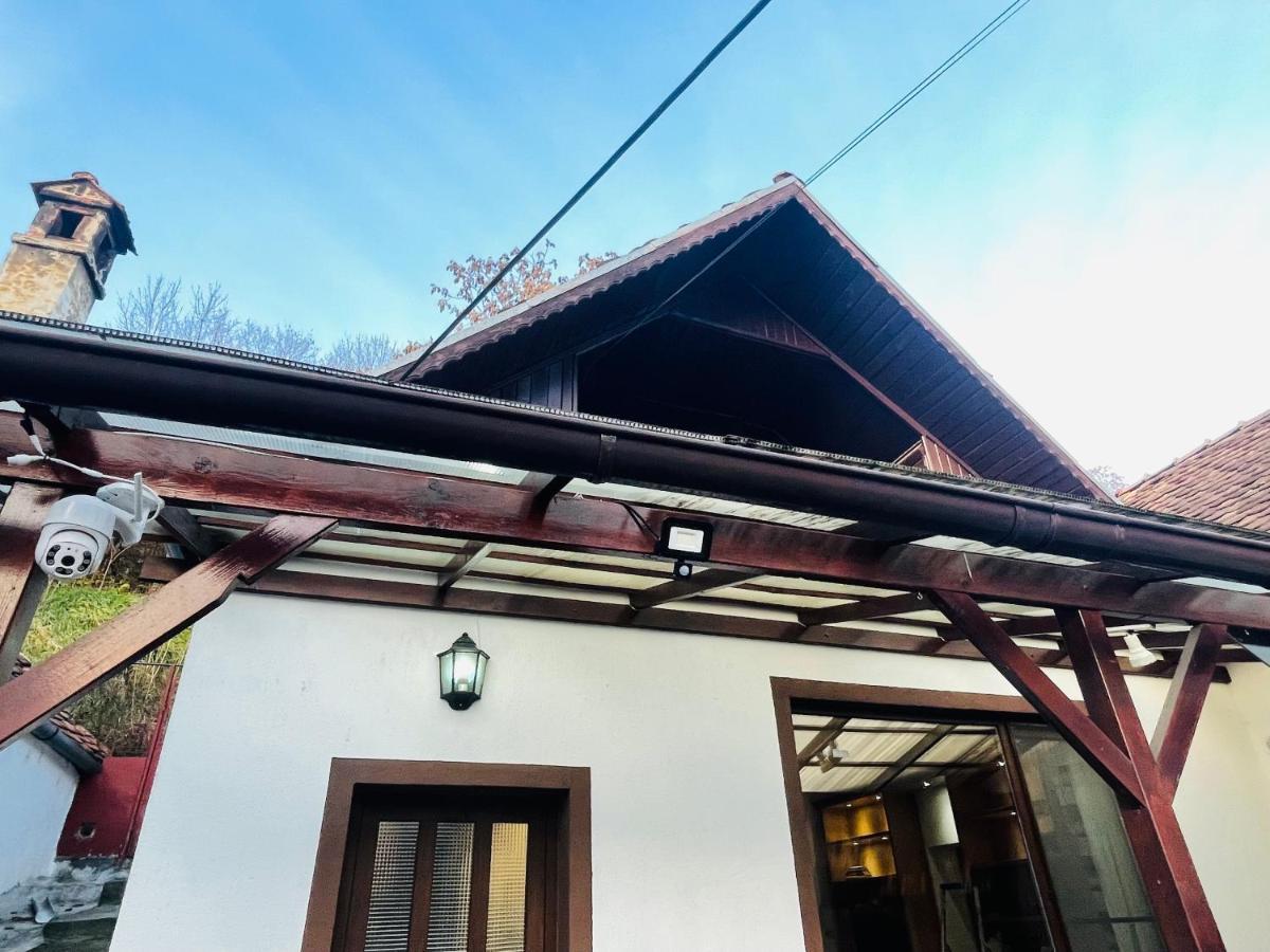 锡吉什瓦拉Sedra House别墅 外观 照片
